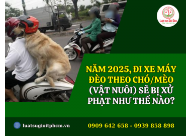 Năm 2025, đi xe máy đèo theo chó/mèo (vật nuôi) sẽ bị xử phạt như thế nào?